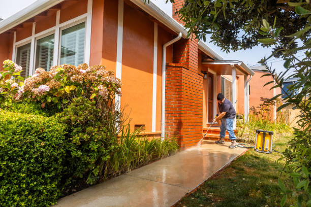 Best House Pressure Washing  in West Blocton, AL